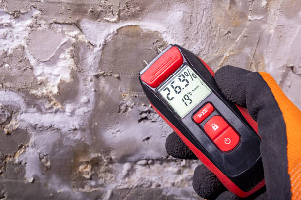 Best Home Mold Removal  in Campbelltown, PA