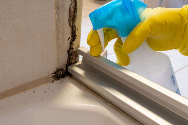 Best Mold Testing  in Campbelltown, PA