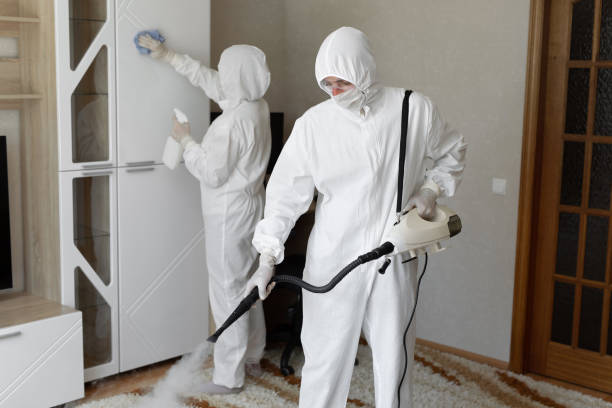 Best Mold Damage Repair  in Campbelltown, PA