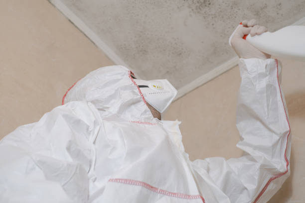 Mold Testing and Removal in Campbelltown, PA